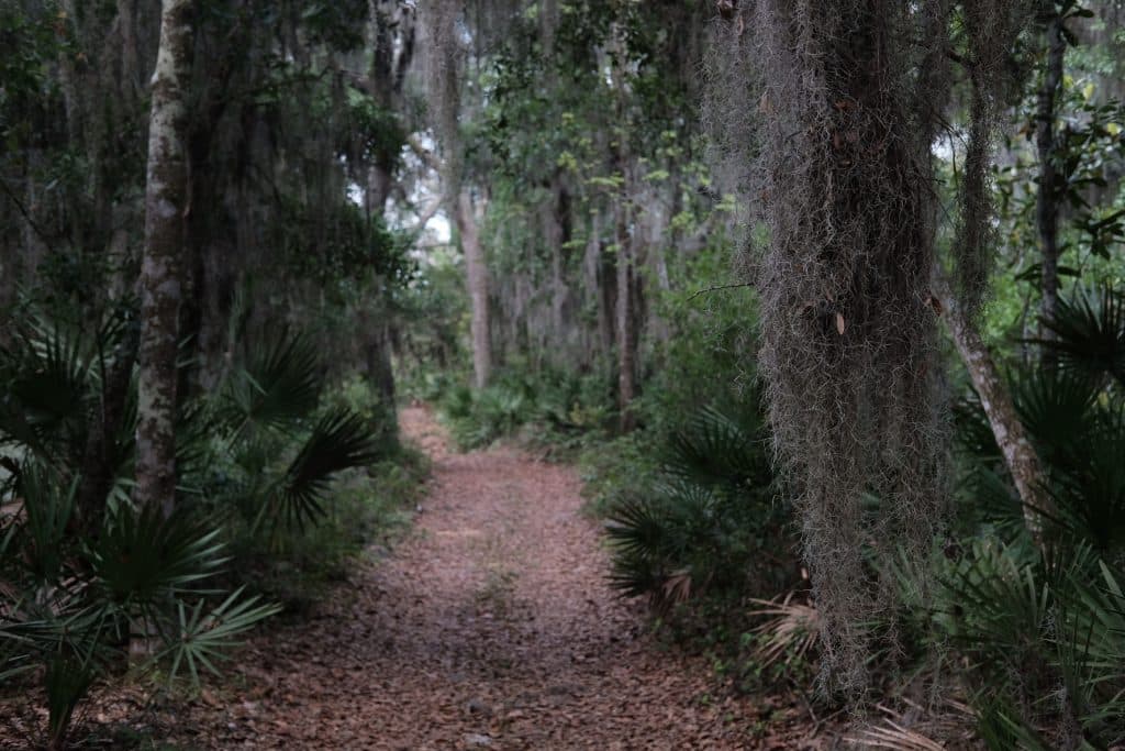 Bogey Creek Preserve North Florida Land Trust