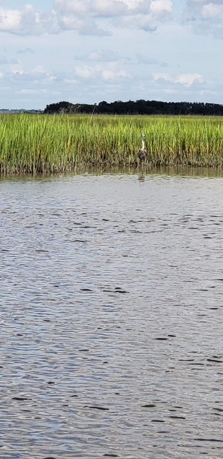 North Florida Land Trust is one step closer to protecting Little Tiger