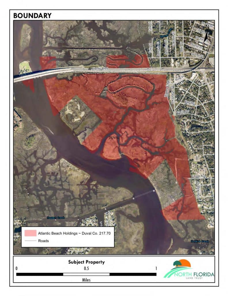 North Florida Land Trust has acquired nearly 219 acres along the
