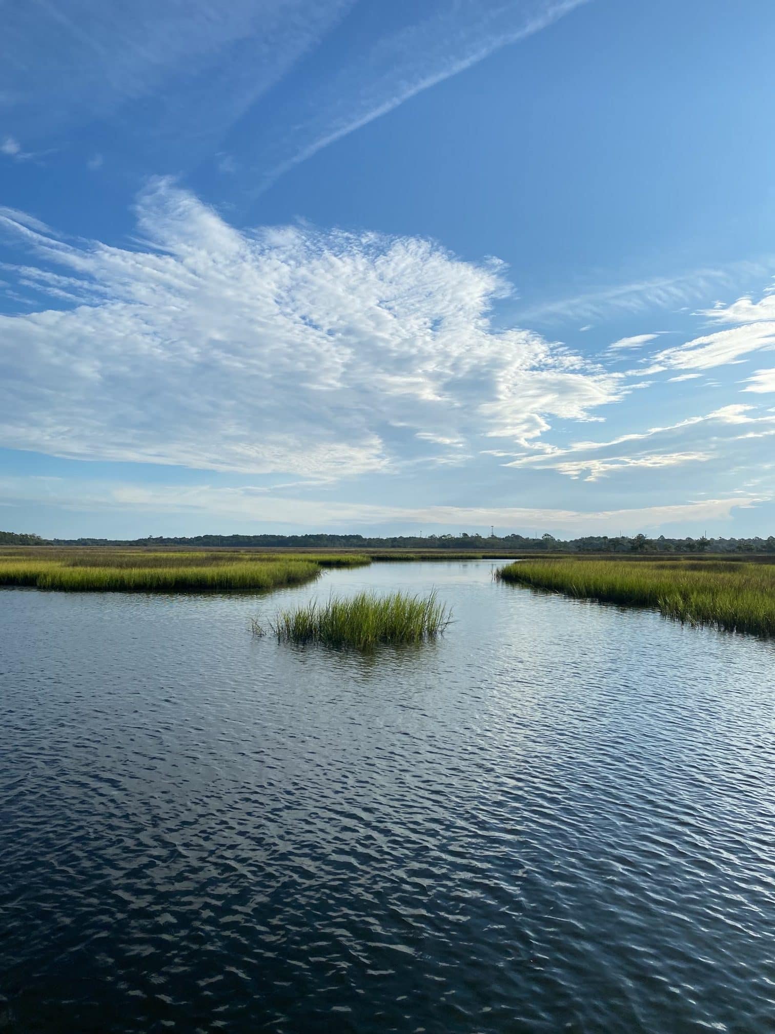 North Florida Land Trust has acquired nearly 219 acres along the
