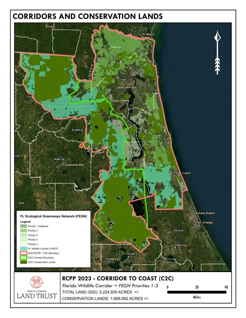 North Florida Land Trust and its partners chosen for more than 15