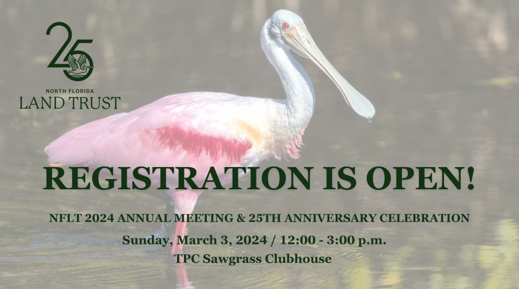 ARCHIVED: 2024 NFLT Annual Meeting | March 3 - North Florida Land Trust