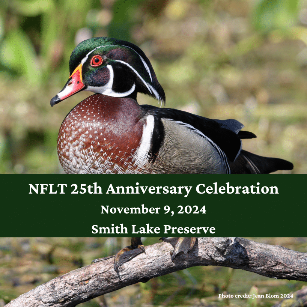 North Florida Land Trust Invites the Community to its 25th Anniversary ...