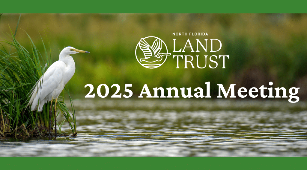 NFLT Annual Meeting ~ Sunday, March 30, 2025 - North Florida Land Trust